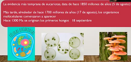 vida en la tierra