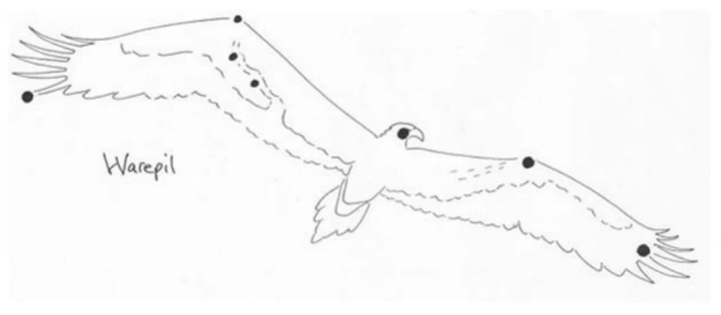 Sirio como Warepil en la mitologia de una tribu de australia