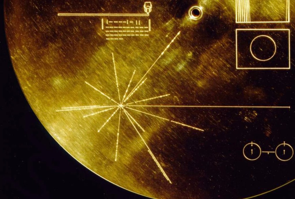 disco oro voyager